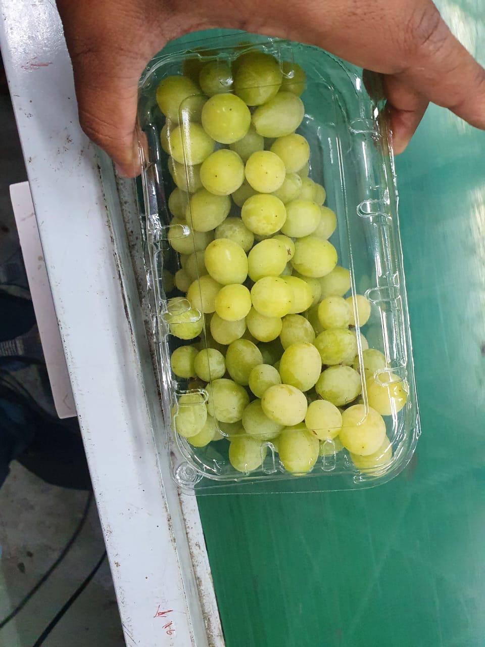 Grapes - Image 2