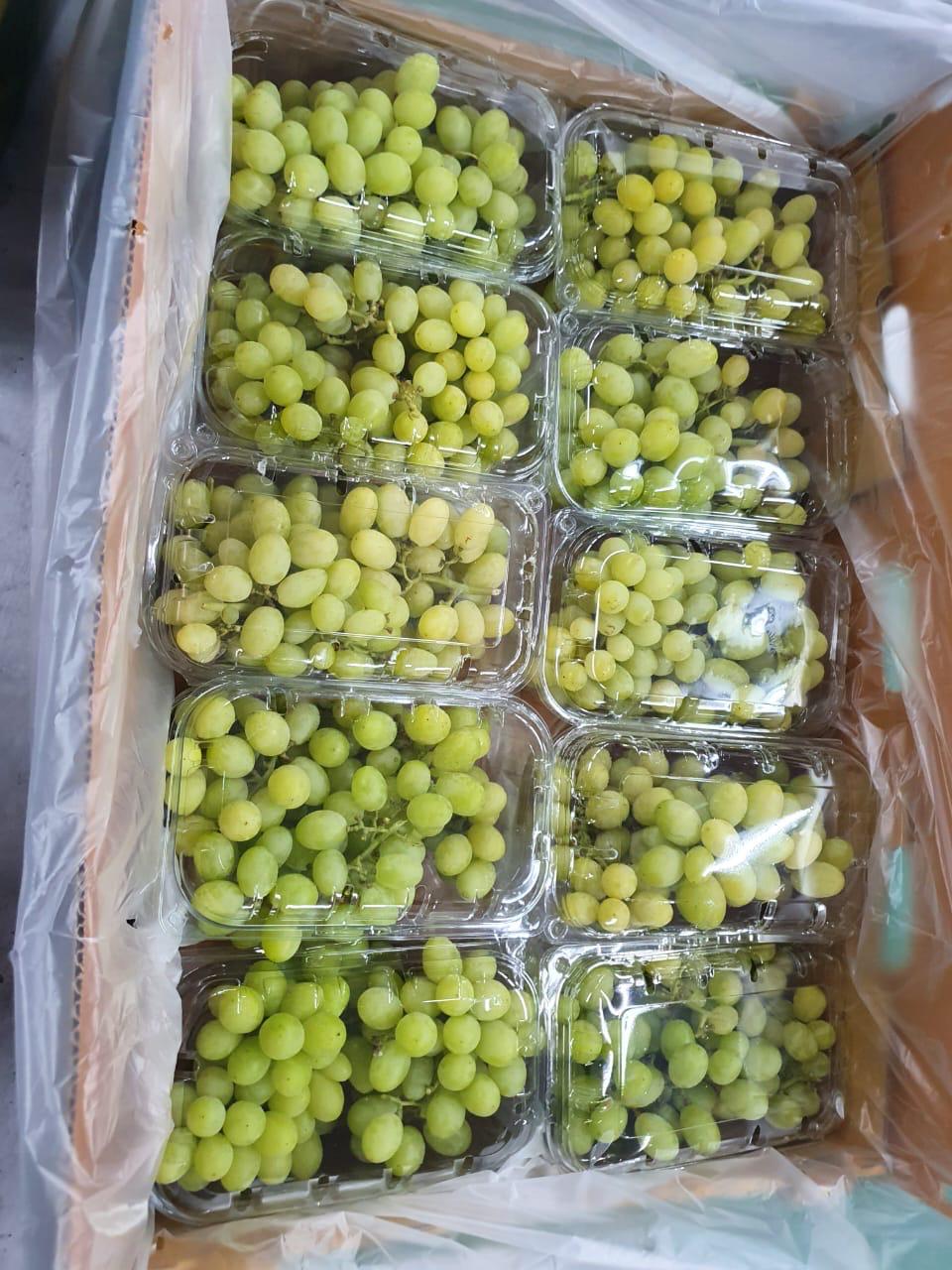 Grapes - Image 3
