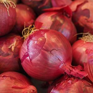 red vegetable onions, vegetable onion, onion, market, vegetables, food, red, violet, shell, onion, onion, onion, onion, onion