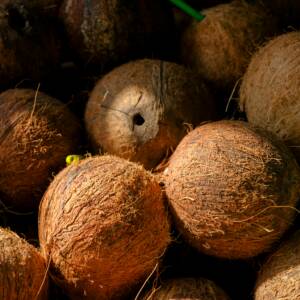 High-quality image of brown coconuts in a market setting, perfect for food and nature themes.