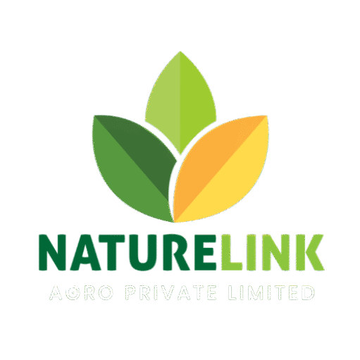 Nature Link